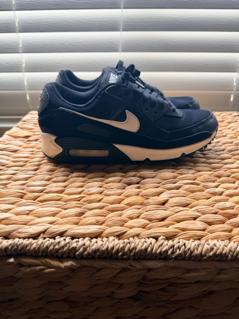 Nike Black and White Air Max Low Sneakers